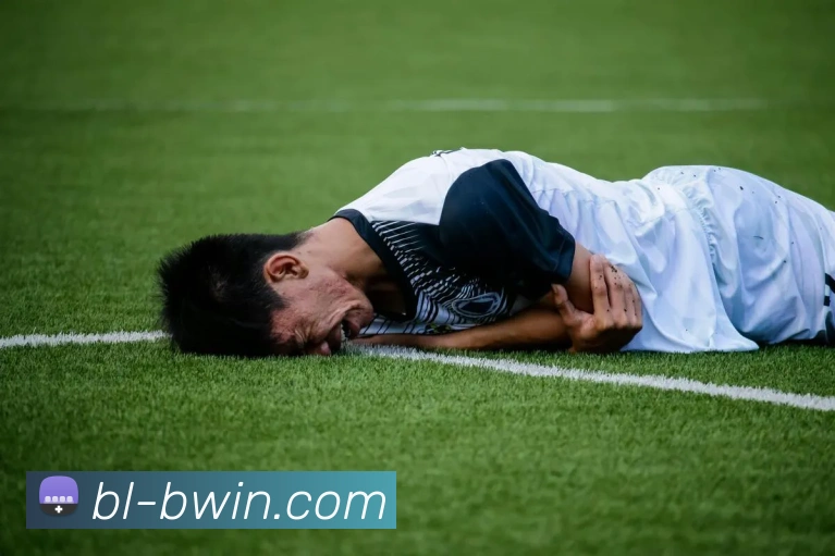 必赢官网服务体系